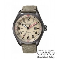 Citizen AW5005-12X мужские кварцевые часы
Citizen AW5005-12X мужские кварцевые часы